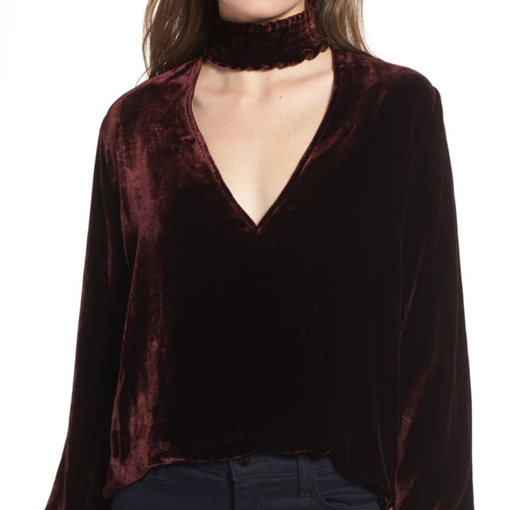 Bailey 44 | Truth Serum Velvet Long Sleeve Top  L